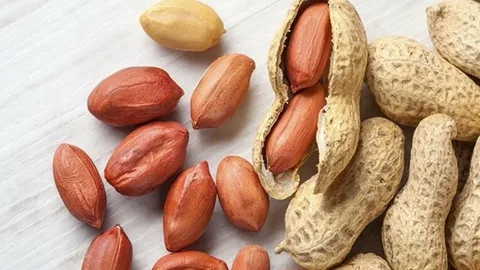 تصویر 2 از قیمت خرید مغز بادام زمینی شور + فروش ویژه